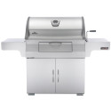 Gril Napoleon Charcoal Professional PRO605