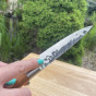 Súprava nožov FORGED Olive 3 ks