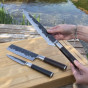 Súprava nožov FORGED Sebra 3 ks