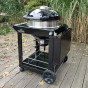 Gril Napoleon Charcoal Cart 3