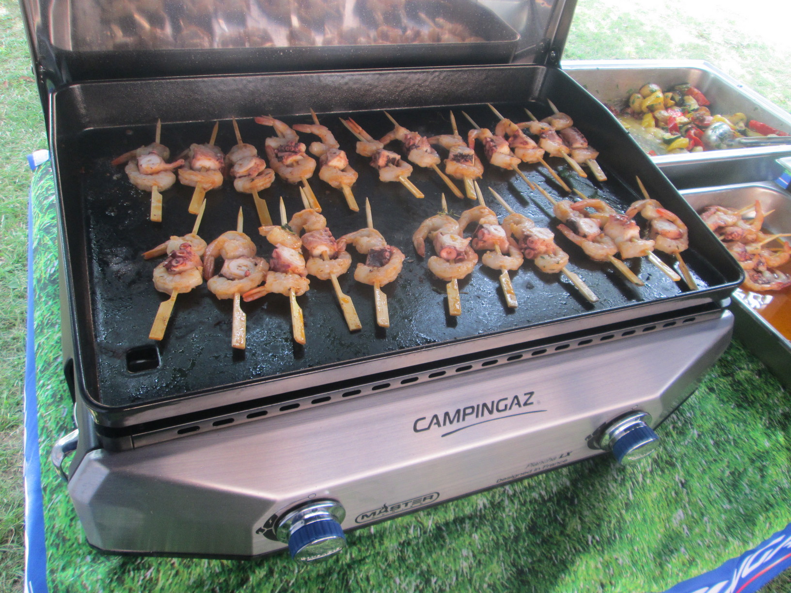 Ktorý obal pasuje na gril Campingaz 2 Series RBS?