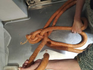 najlepsia-vianocka-z-klobas-z-udiarne-g4