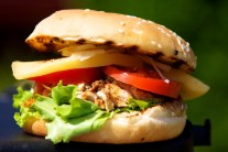 hamburger-s-trhanym-masem-1509